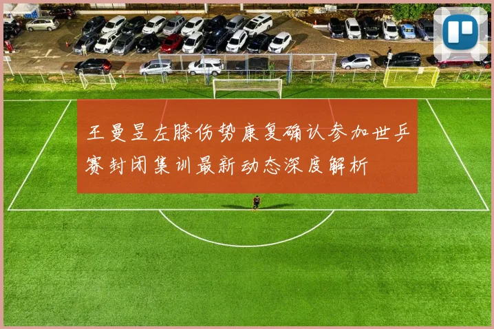 王曼昱左膝伤势康复确认参加世乒赛封闭集训最新动态深度解析