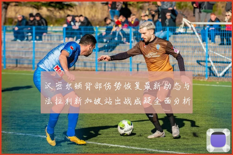 汉密尔顿背部伤势恢复最新动态与法拉利新加坡站出战成疑全面分析