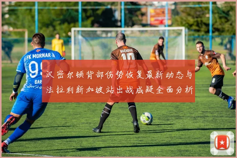 汉密尔顿背部伤势恢复最新动态与法拉利新加坡站出战成疑全面分析