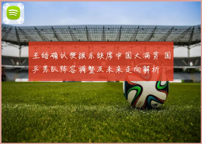 王皓确认樊振东缺席中国大满贯 国乒男队阵容调整及未来走向解析
